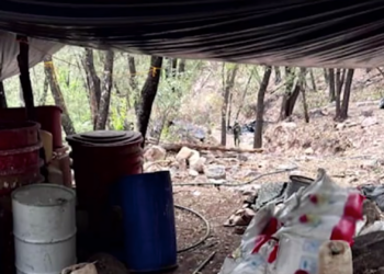 Desmantelan macro nar.colaboratorio en la sierra de Chihuahua; golpean finanzas del cri.men organizado