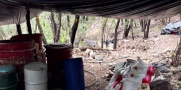 Desmantelan macro nar.colaboratorio en la sierra de Chihuahua; golpean finanzas del cri.men organizado
