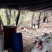 Desmantelan macro nar.colaboratorio en la sierra de Chihuahua; golpean finanzas del cri.men organizado