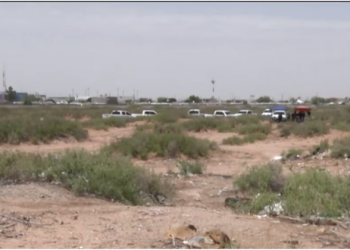 Hallan dos osamentas en fosas clandestinas durante operativo de búsqueda en el suroriente de Juárez