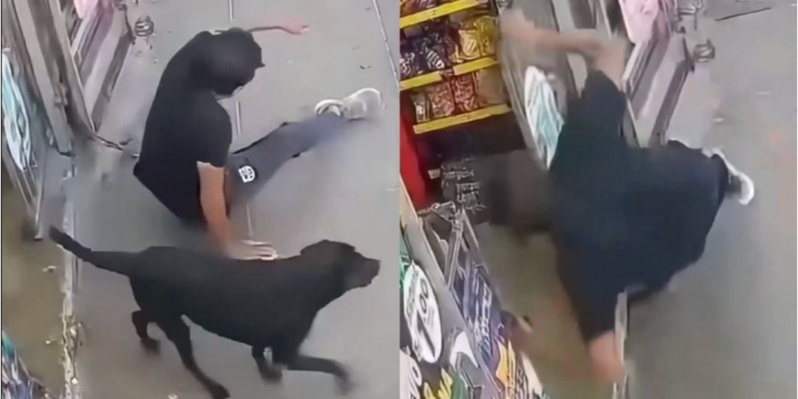 Hombre termina con fractura tras ser derribado por un perro que corría a toda velocidad