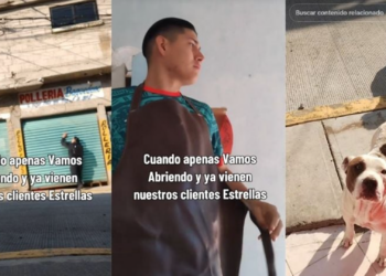 Pollero conquista TikTok al alimentar a perritos callejeros que considera sus “clientes estrella”