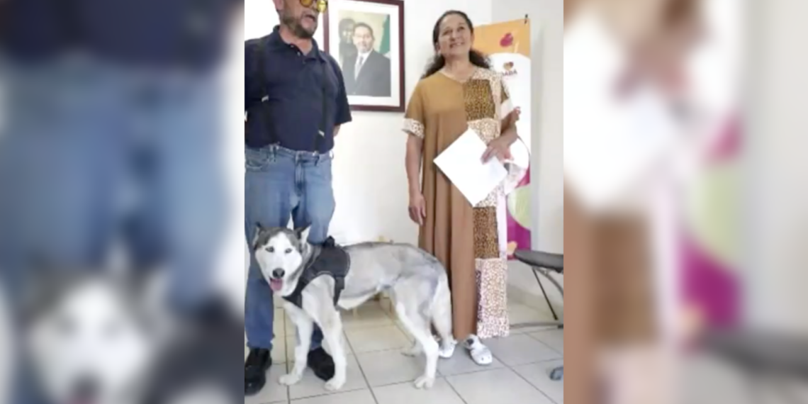 Sasha regresa a casa tras cumplir protocolo de observación y evaluación
