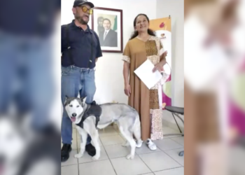 Sasha regresa a casa tras cumplir protocolo de observación y evaluación