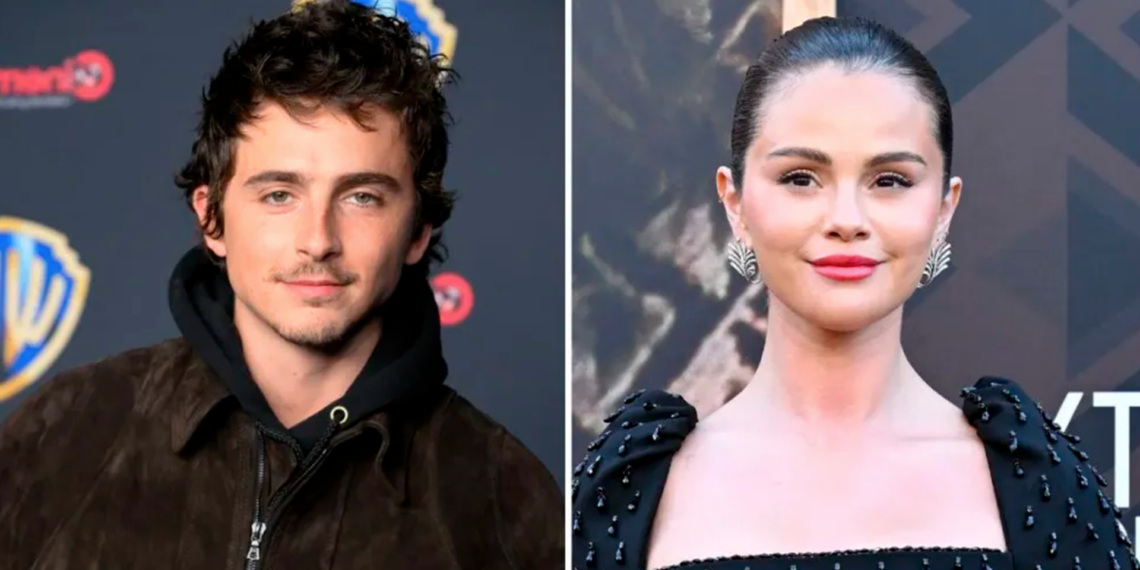 Timothée Chalamet y Selena Gomez unirán sus voces en la película animada Not Alone de Illumination