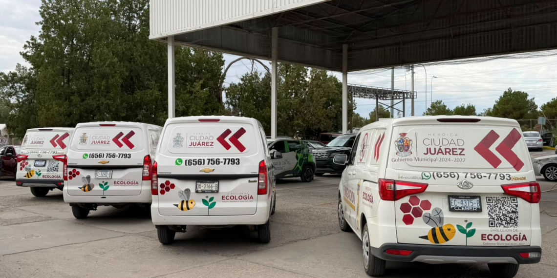 Ecología refuerza brigadas de fumigación con más personal, vehículos y equipo en Ciudad Juárez