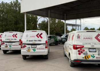 Ecología refuerza brigadas de fumigación con más personal, vehículos y equipo en Ciudad Juárez