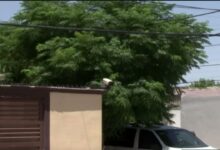 Ases.inato de mujer que denunció ame.nazas desata indignación y exige respuestas en Ciudad Juárez