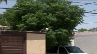 Ases.inato de mujer que denunció ame.nazas desata indignación y exige respuestas en Ciudad Juárez