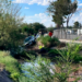 Dodge Charger cae a canal de riego tras perder el control en la carretera al Porvenir