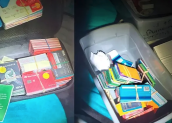 Desarticulan red de préstamos ilegales en Sonora; aseguran mil 500 tarjetas bancarias y detienen a cuatro