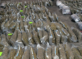 Condenan a 8 años de prisión a hombre por transportar más de 152 kilos de marihuana
