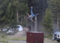 Bisonte embiste y deja gravemente herido a turista en Yellowstone