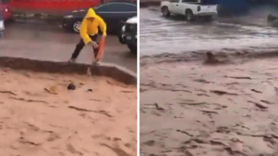 Joven rescata a un perro arrastrado por la corriente en Nogales; video se vuelve viral
