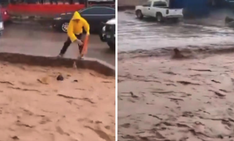 Joven rescata a un perro arrastrado por la corriente en Nogales; video se vuelve viral