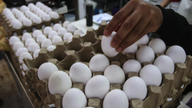 Retiran más de 1.5 millones de docenas de huevos en EU por riesgo de salmonela