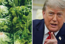 Trump bromea con imponer aranceles a México y Canadá por brote sanitario e incendios forestales