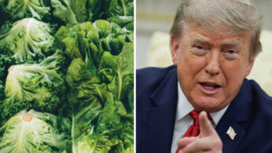 Trump bromea con imponer aranceles a México y Canadá por brote sanitario e incendios forestales