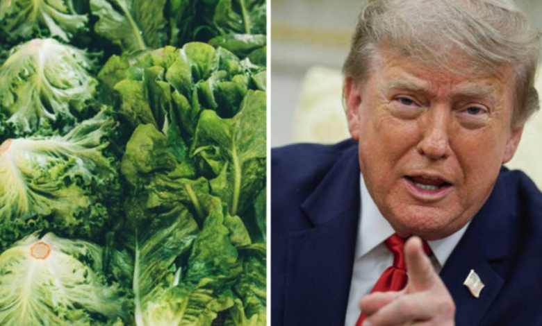 Trump bromea con imponer aranceles a México y Canadá por brote sanitario e incendios forestales