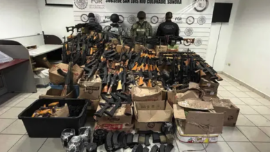  Aseguran 81 ar.mas largas y casi 275 mil cartuchos en operativo en Sonora