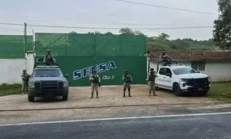 Aseguran centro de almacenamiento ilegal de hidrocarburos en Veracruz