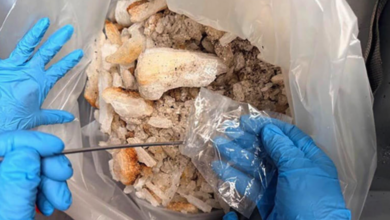 Aseguran tres kilos de metanfetamina ocultos en pieza metálica en el Aeropuerto de Toluca
