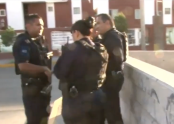 Tras hallazgo de planta de mari.huana, despliegan operativo en el Dren 2A