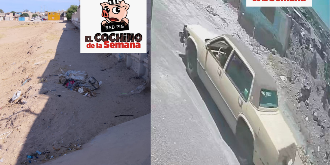 Exhortan a denunciar a quienes tiran basura; multas superan los 11 mil pesos