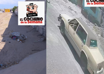 Exhortan a denunciar a quienes tiran basura; multas superan los 11 mil pesos