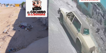 Exhortan a denunciar a quienes tiran basura; multas superan los 11 mil pesos