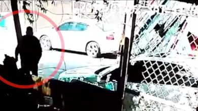 Empleado de recolección de basura es captado golpeando a un perro en Ciudad Juárez; video desata polémica
