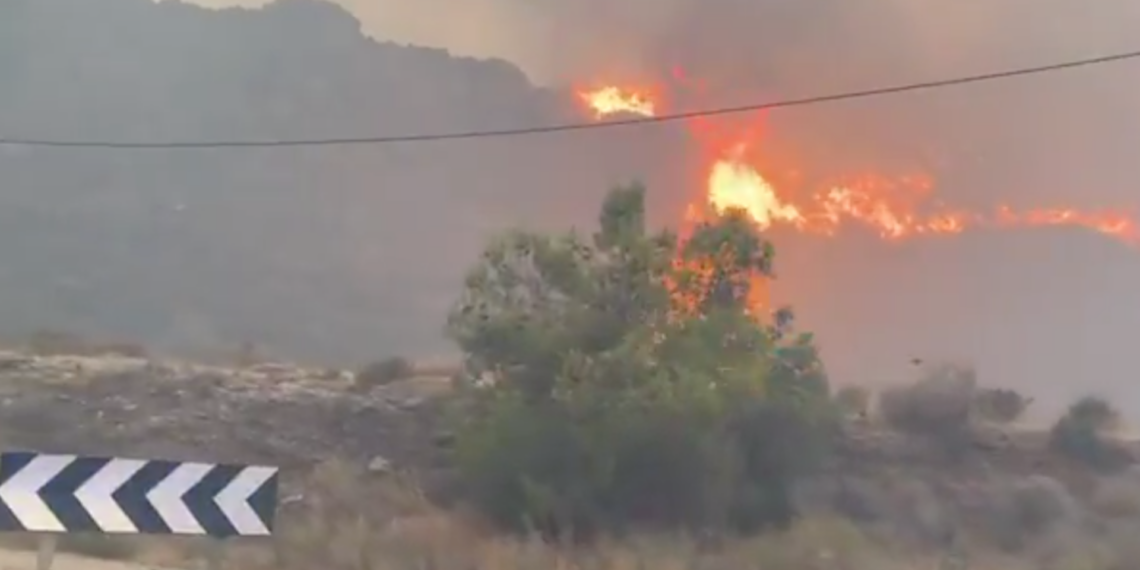 Incendio forestal en Andalucía deja al menos 11 muertos y 19 desaparecidos