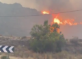 Incendio forestal en Andalucía deja al menos 11 muertos y 19 desaparecidos