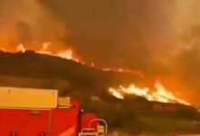 Incendio forestal sin control arrasa más de 26 mil hectáreas en España; evacúan a mil 200 personas