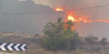 Incendio forestal en Andalucía deja al menos 11 muertos y 19 desaparecidos