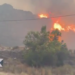 Incendio forestal en Andalucía deja al menos 11 muertos y 19 desaparecidos