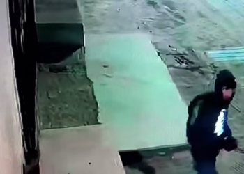 Vecinos de la colonia Morelos denuncian presencia de presunto ladrón y exigen mayor vigilancia