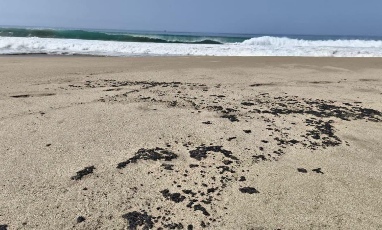 Nuevo derrame de hidrocarburo afecta playas de Salina Cruz; autoridades inician labores de limpieza