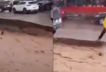 Joven rescata a perrito arrastrado por la corriente durante lluvias en Nogales