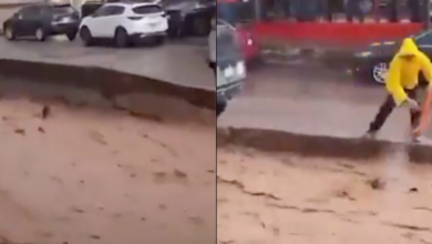 Joven rescata a perrito arrastrado por la corriente durante lluvias en Nogales