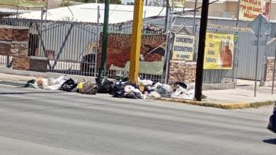 Atienden reporte ciudadano y retiran acumulación de basura en avenida Insurgentes