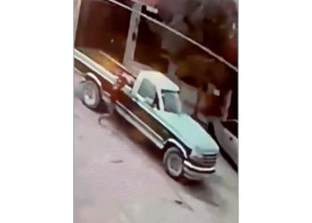 Roban un perico de una vivienda en Lomas del Sol; cámaras captan la huida de los responsables