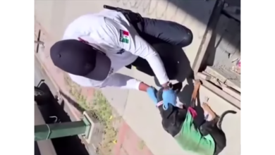 Rescatan a perrito atrapado en una alcantarilla en Ciudad Juárez