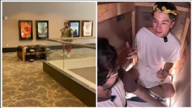 YouTubers intentan colarse al cine con un caballo de Troya para ver La Odisea y el plan termina en fracaso
