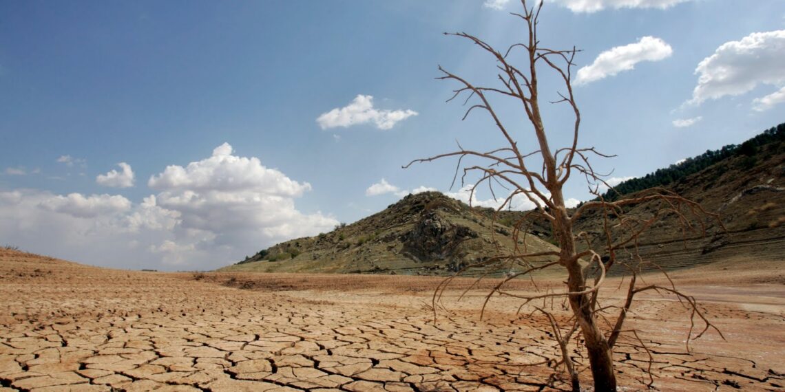 A dead-looking tree is seen on the cracked mud of the dry reservoir bed of  Contreras in Valencia, eastern Spain, Friday, Sept. 8, 2006. The driest winter and spring for more than 60 years has left reservoirs in some regions with less of 20 percent of their normal capacity. (AP Photo/Fernando Bustamante)