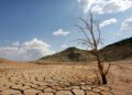 A dead-looking tree is seen on the cracked mud of the dry reservoir bed of  Contreras in Valencia, eastern Spain, Friday, Sept. 8, 2006. The driest winter and spring for more than 60 years has left reservoirs in some regions with less of 20 percent of their normal capacity. (AP Photo/Fernando Bustamante)