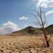 A dead-looking tree is seen on the cracked mud of the dry reservoir bed of  Contreras in Valencia, eastern Spain, Friday, Sept. 8, 2006. The driest winter and spring for more than 60 years has left reservoirs in some regions with less of 20 percent of their normal capacity. (AP Photo/Fernando Bustamante)