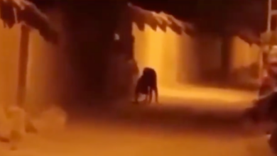 Presunto nahual o skinwalker causa terror tras reaparecer en video viral de Chiapas