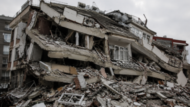 Magnolia salió ilesa del terremoto; volvió por su hija y perdió la vida