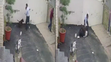 Pareja resulta herida tras ser atacada por un pitbull al visitar una casa en venta